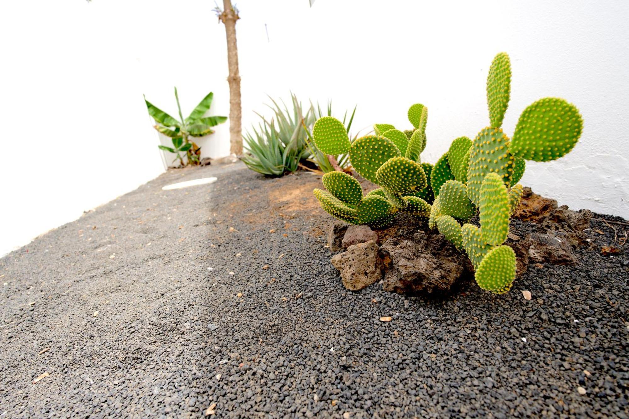 Villas Kalendra, Rofe, Lanzarote Гуатиса Экстерьер фото